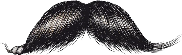 Moustache de messieurs — Image vectorielle