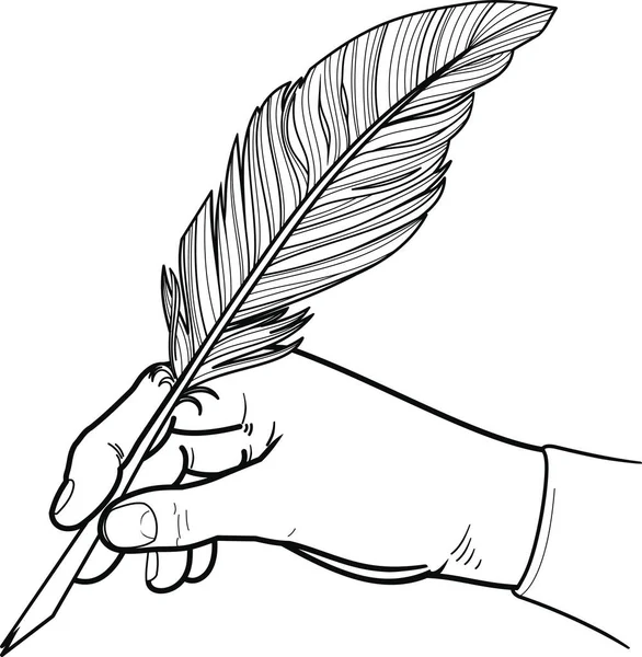 Mano Masculina Sosteniendo Una Pluma Ave Para Escribir Dibujar Negro — Archivo Imágenes Vectoriales