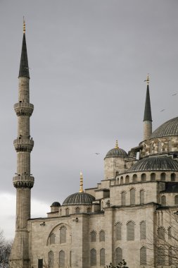 İstanbul 'daki Mavi Cami