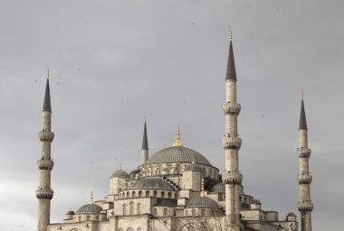 İstanbul 'daki Mavi Cami