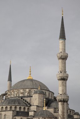 İstanbul 'daki Mavi Cami