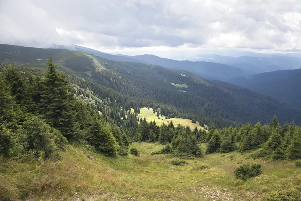 Carpathian mountains — Stock Photo, Image