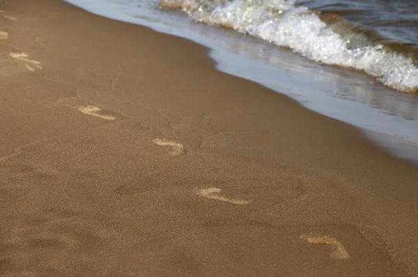 Footprints along the shore — Stock Photo, Image