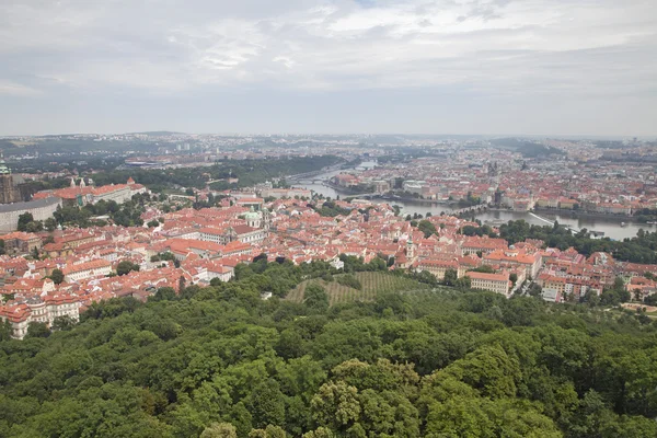 Roofs of Prague — Stock Photo, Image