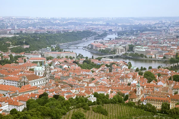 Roofs of Prague — Stock Photo, Image
