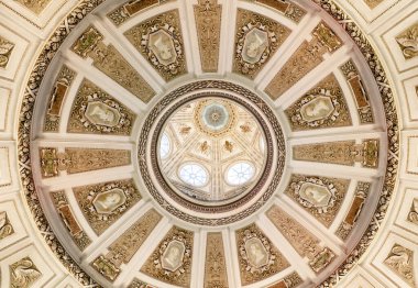 Viyana, AUSTRIA - 17 Şubat 2015 - Viyana Doğal Tarih Müzesinin Tavanı.