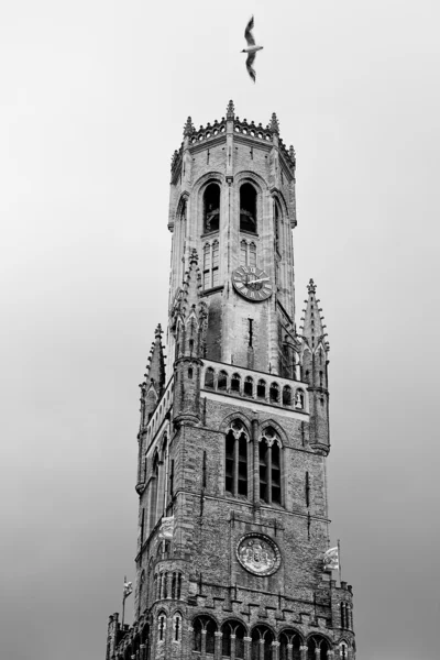 Brugge tower — Stockfoto