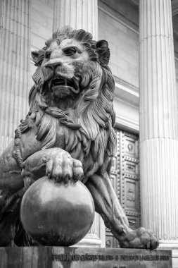 Aslan madrid