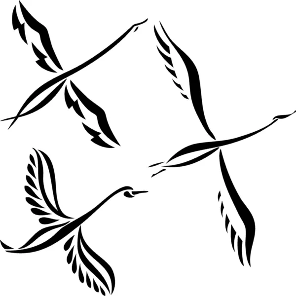 Conjunto de design de cisne — Vetor de Stock