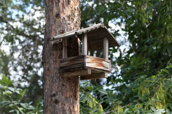 Feeder bird — Stock Photo, Image