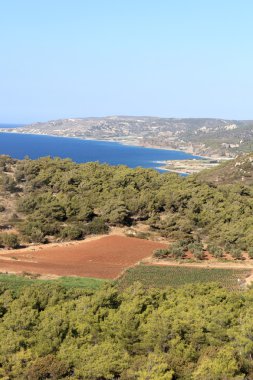 sahil, Rodos göster
