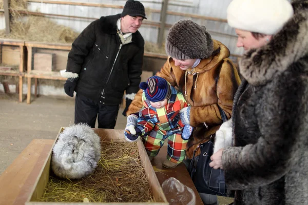 Rodina, na farmě králík — Stock fotografie