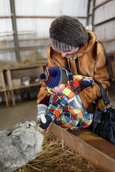 Toddler feeding rabbit — Stock Photo, Image