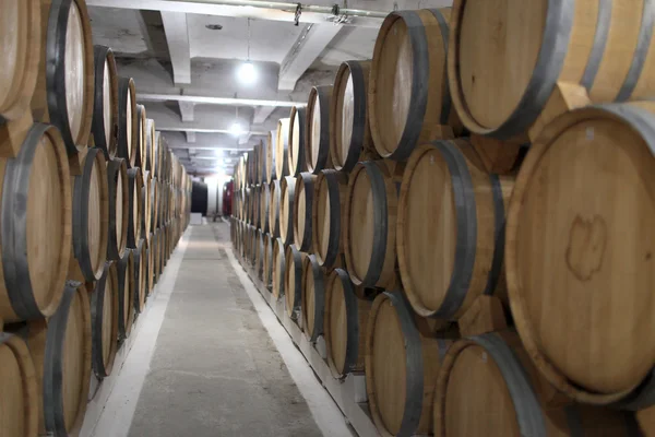 Interior of winery — Stock Photo, Image