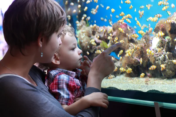 Familia y peces — Foto de Stock