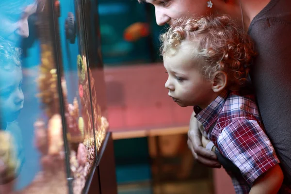 Moeder en kind in het aquarium — Stockfoto