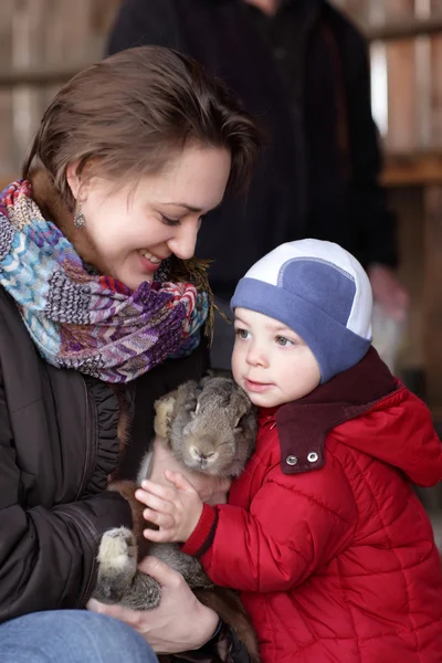 Rodzinne gospodarstwo królik — Zdjęcie stockowe