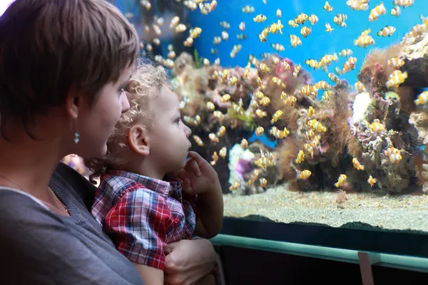 水族館で子供を持つ母 — ストック写真