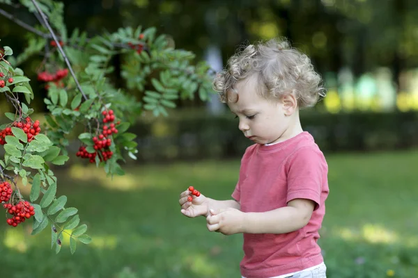Kręcone dziecka w ogrodzie — Zdjęcie stockowe