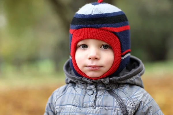 Ребенок в осеннем парке — стоковое фото