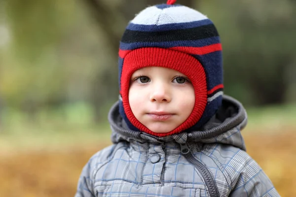 Child at autumn park Royalty Free Stock Photos