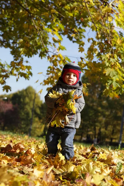 Дитина тримає листя — стокове фото
