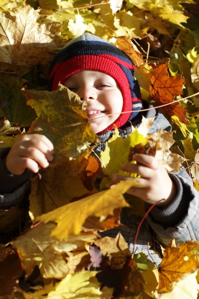 A criança está deitada nas folhas. — Fotografia de Stock