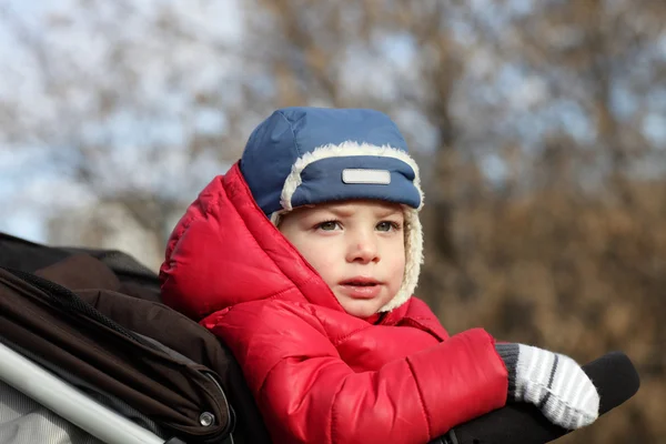 Barn i en barnvagn — Stockfoto