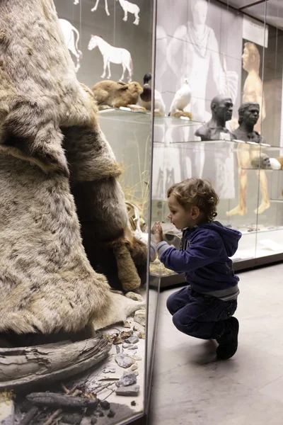 Jongen bezoekende historisch museum — Stockfoto