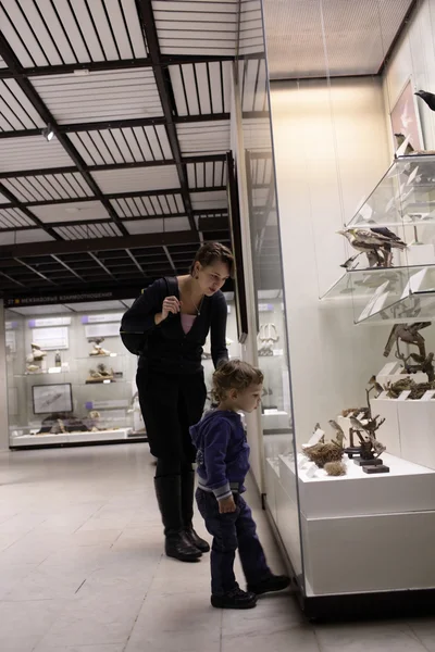 Family looking at birds — Stock Photo, Image