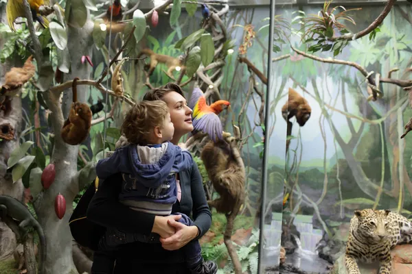 Familia mirando la selva — Foto de Stock