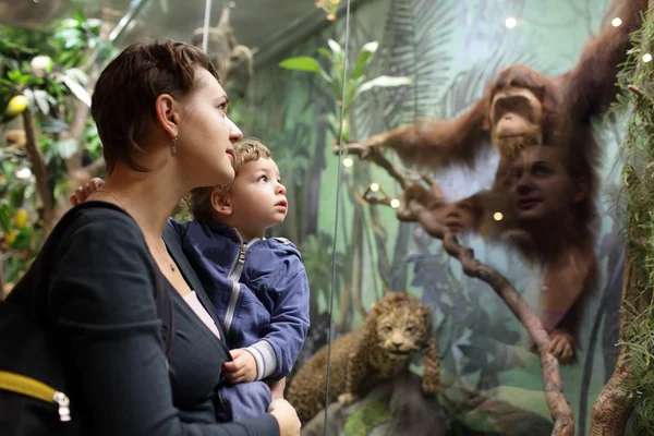 Familie kijken naar aap — Stockfoto