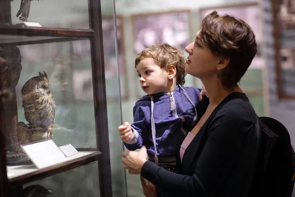 Family looking at owl — Stock Photo, Image