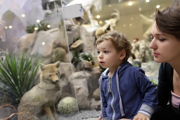 Museo della visita della famiglia — Foto Stock