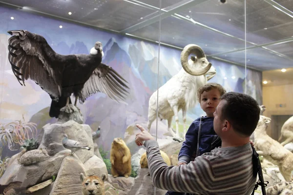 Pai diz a seu filho sobre o abutre — Fotografia de Stock