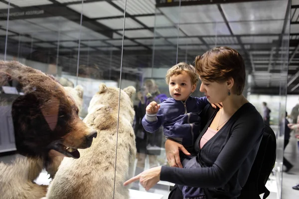 Matka mówi jej syna o niedźwiedzia — Zdjęcie stockowe