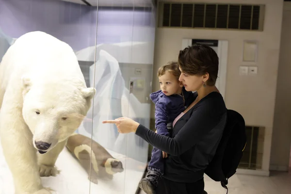 Moeder vertelt haar zoon over polar bear — Stockfoto