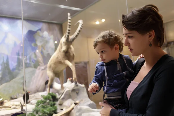 Madre con figlio al museo zoologico — Foto Stock