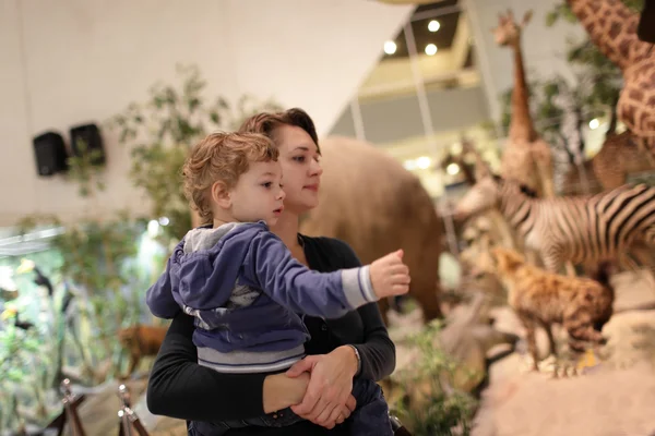 Мать с сыном посещает музей — стоковое фото