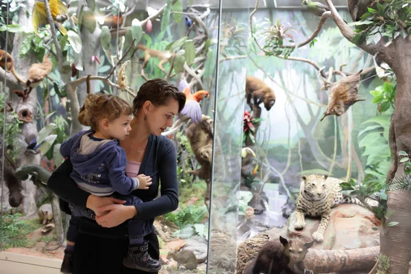 Familie en jungle — Stockfoto