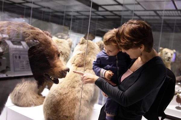 Família olhando para urso — Fotografia de Stock