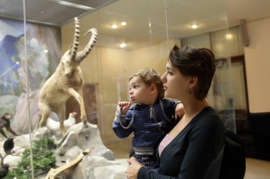 Aile Zooloji Müzesi'nde