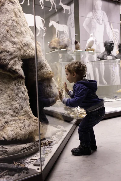 Dítě navštívit historické muzeum — Stock fotografie