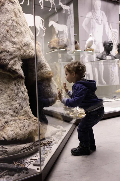 Niño visitando museo histórico — Foto de Stock