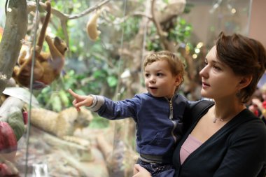 Anne ve oğlu jungle arıyorsunuz