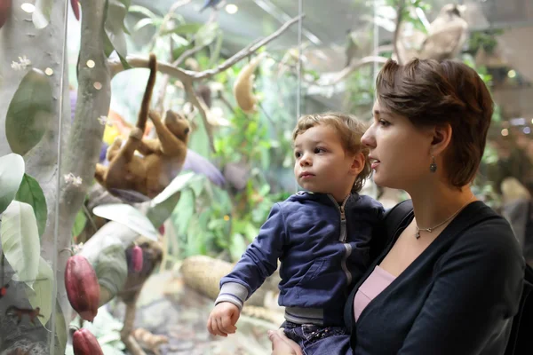 Människor i museet — Stockfoto