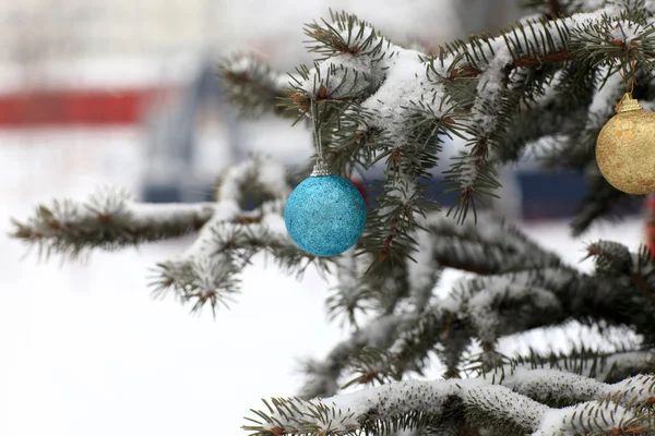 Bola na árvore de Natal — Fotografia de Stock