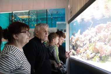 turist bir oceanarium