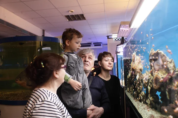 Família no oceanário — Fotografia de Stock