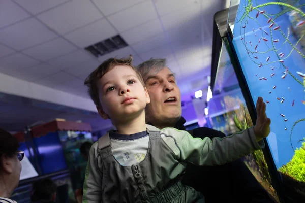 Grandfather with grandson watching fishes — Stock Photo, Image